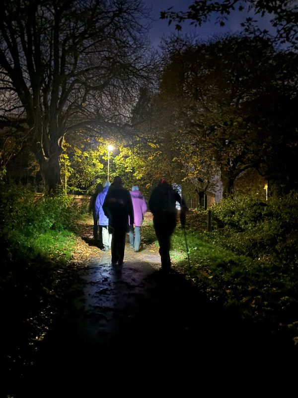 Group walking at night